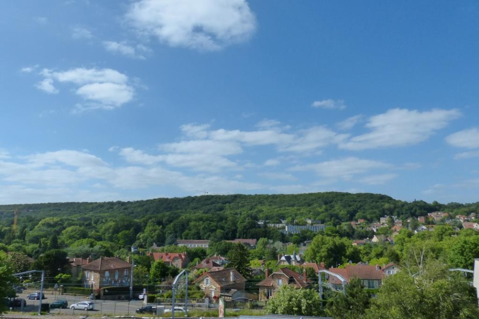 P1030584